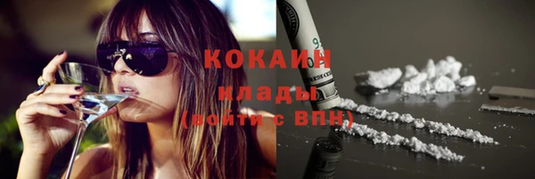 кокс Арсеньев