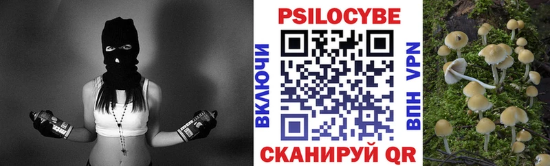 Псилоцибиновые грибы Psilocybine cubensis  МЕГА рабочий сайт  Суворов  магазин продажи  